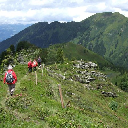 Gasthof Zur Gams Donnersbachwald Bagian luar foto