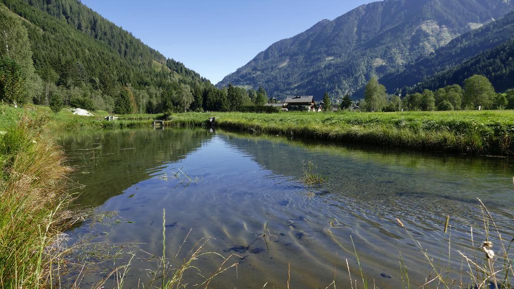 Gasthof Zur Gams Donnersbachwald Bagian luar foto