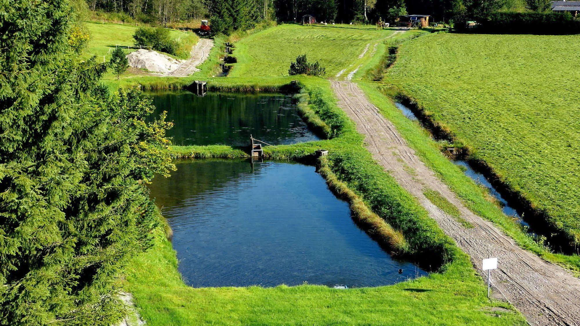 Gasthof Zur Gams Donnersbachwald Bagian luar foto